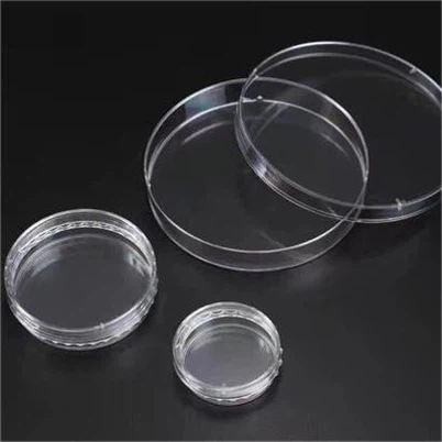 Piatto galleggiante per cellule 3D
