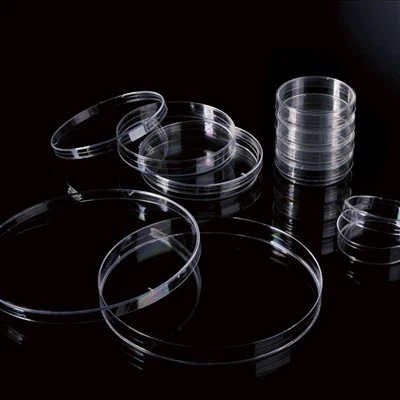 Piastre Petri sterili