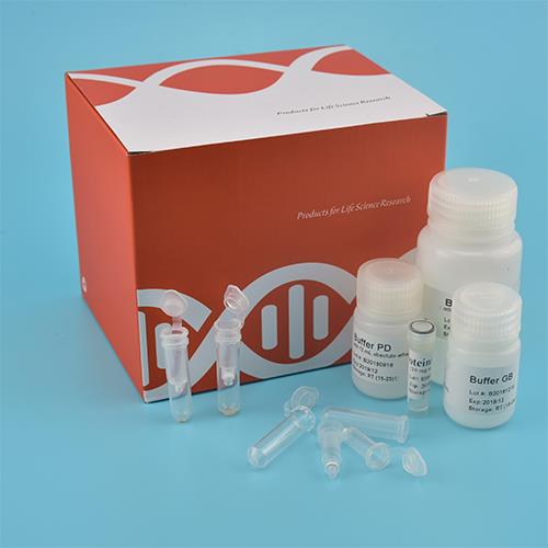 Kit DNA genomico tampone buccale (Spin Spin)
