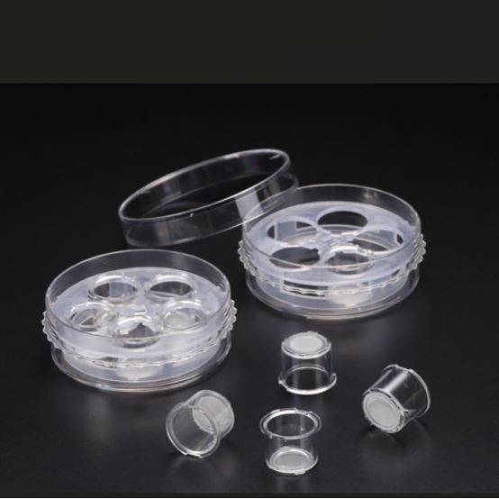 Piatto multi inserto Biologix con cinque piccoli inserti di coltura assemblati