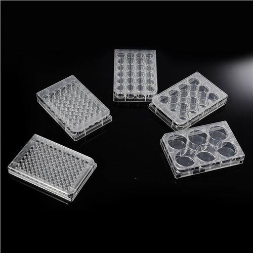 6/12/24/36/48/96-Piastrine per colture cellulari trattate con TC