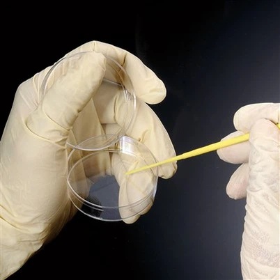 Sterile Individualy inoculando loop & aghi